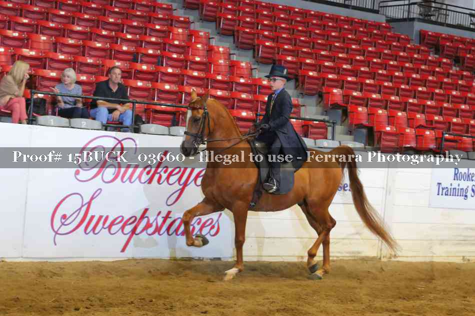 Proof 15BUCK_03660