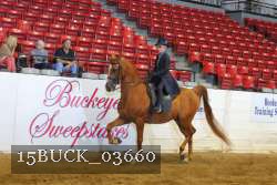 15BUCK_03660 proof