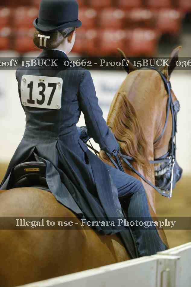 Proof 15BUCK_03662