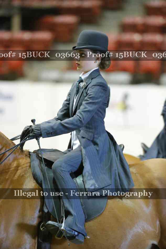 Proof 15BUCK_03663