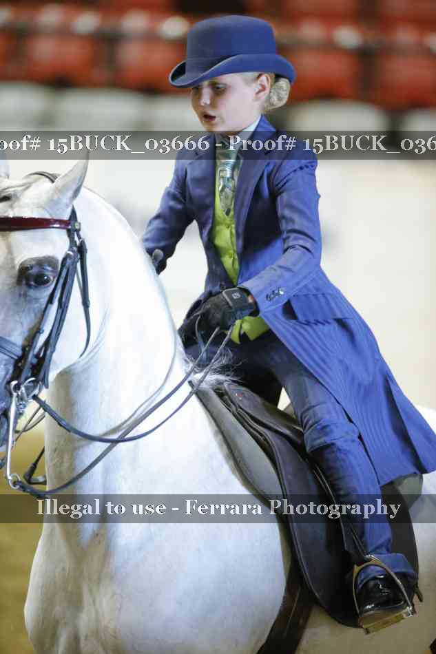 Proof 15BUCK_03666