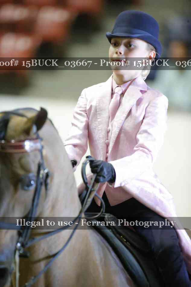 Proof 15BUCK_03667