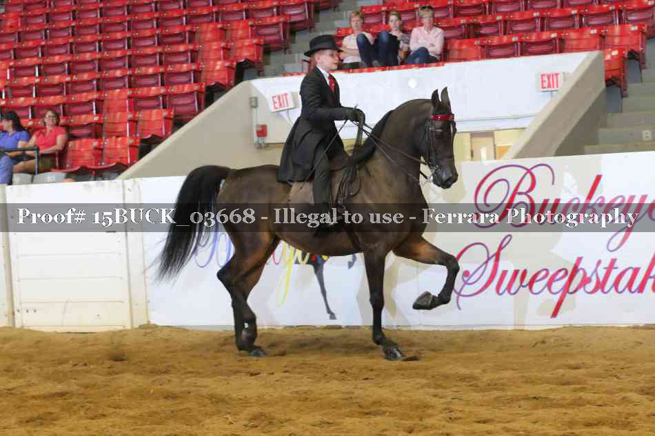 Proof 15BUCK_03668