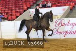 15BUCK_03668 proof