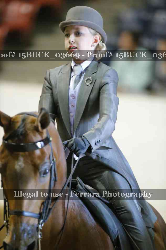 Proof 15BUCK_03669