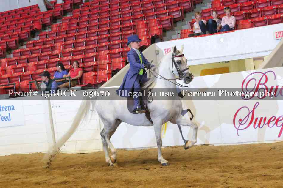 Proof 15BUCK_03670