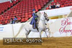 15BUCK_03670 proof