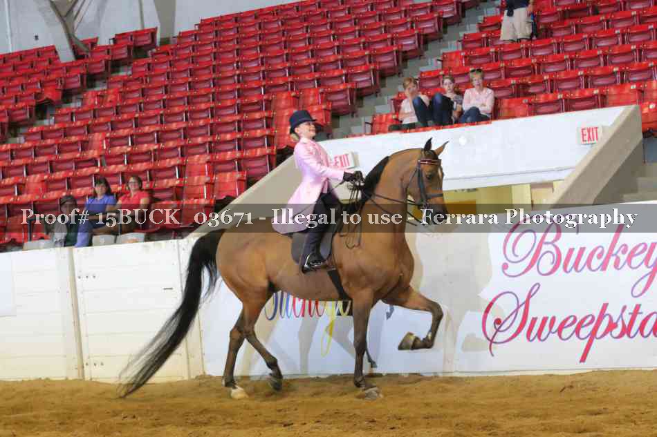 Proof 15BUCK_03671