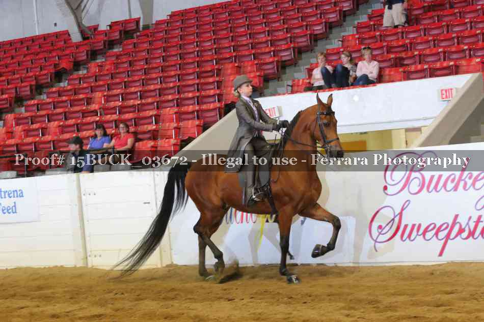 Proof 15BUCK_03672