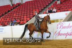15BUCK_03672 proof