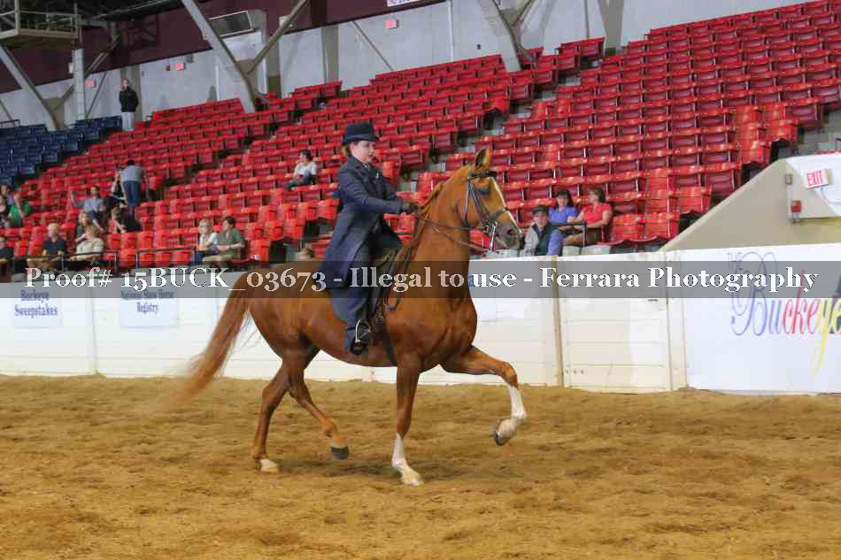Proof 15BUCK_03673