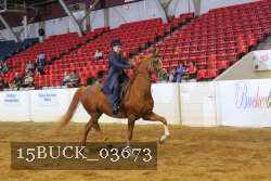 15BUCK_03673 proof