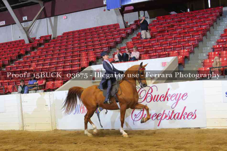 Proof 15BUCK_03675