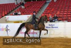 15BUCK_03676 proof