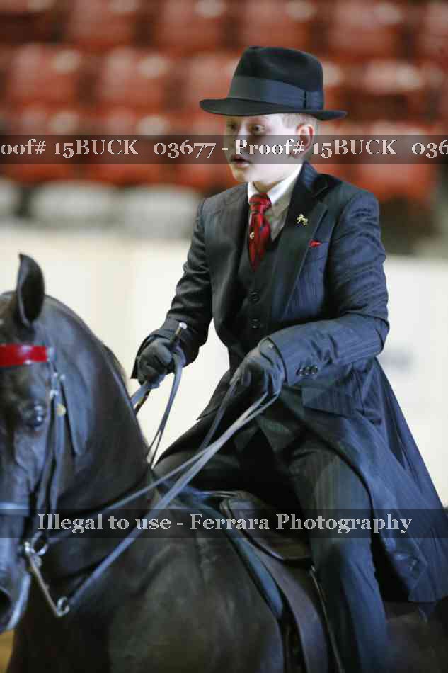 Proof 15BUCK_03677