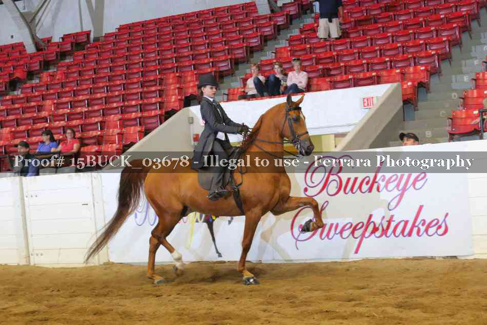 Proof 15BUCK_03678