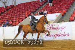 15BUCK_03678 proof