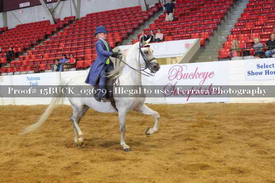 Proof 15BUCK_03679
