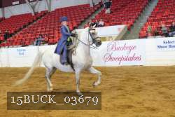 15BUCK_03679 proof