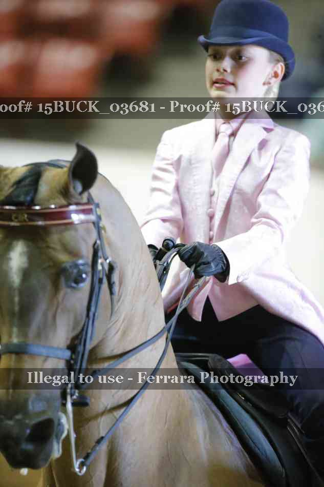 Proof 15BUCK_03681