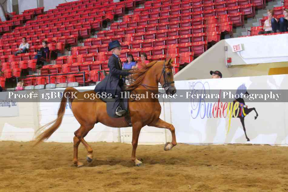 Proof 15BUCK_03682