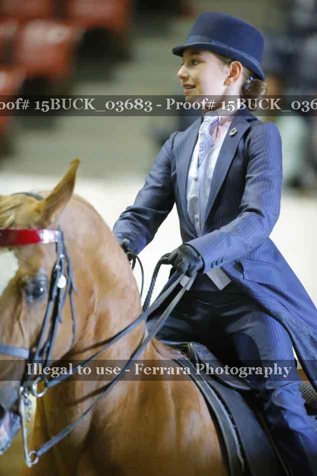 Proof 15BUCK_03683