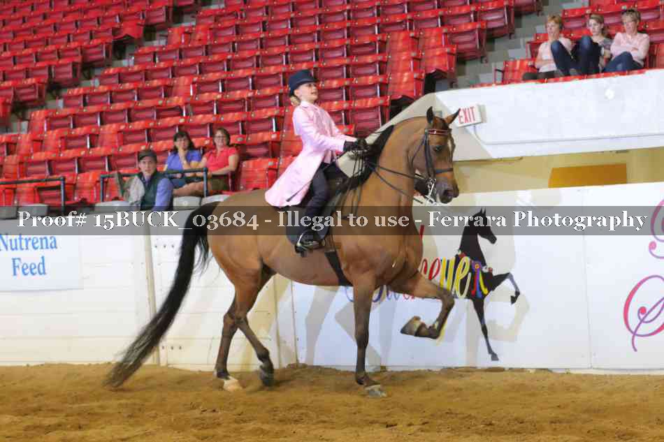 Proof 15BUCK_03684