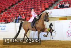 15BUCK_03684 proof