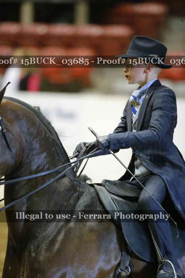 Proof 15BUCK_03685