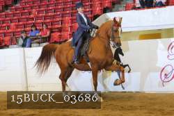 15BUCK_03686 proof
