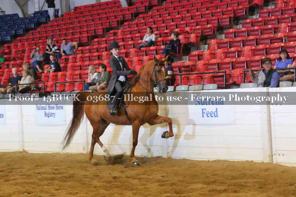 Proof 15BUCK_03687