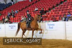 15BUCK_03687 proof