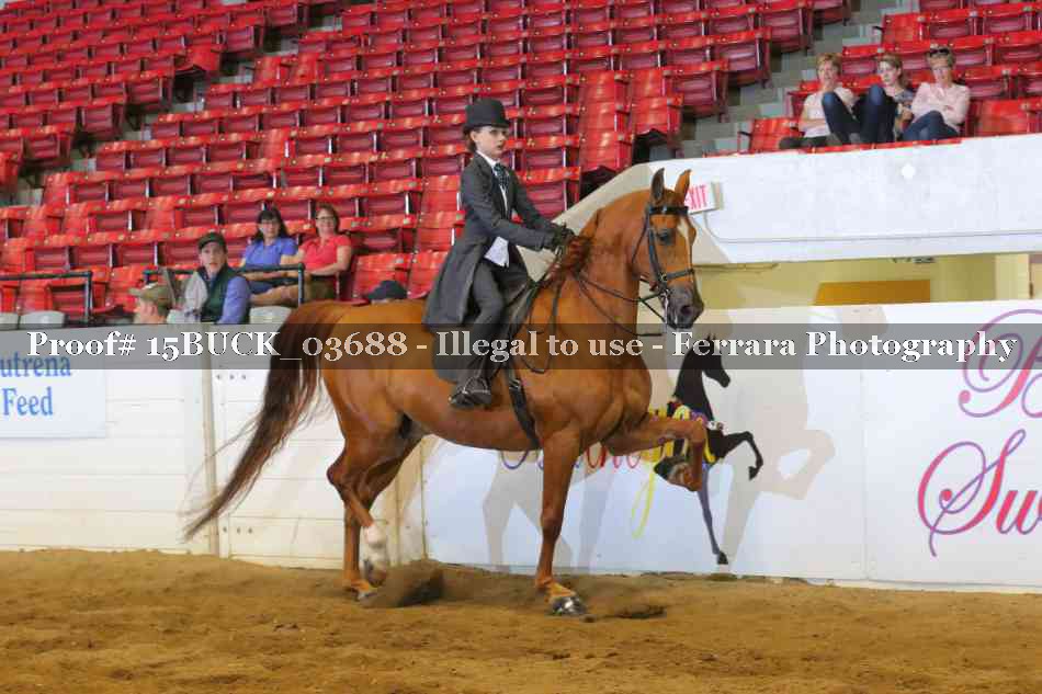 Proof 15BUCK_03688