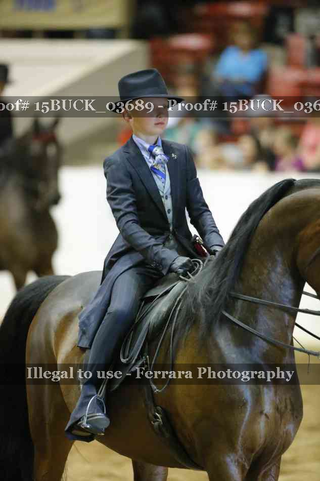 Proof 15BUCK_03689