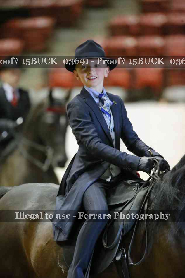 Proof 15BUCK_03691