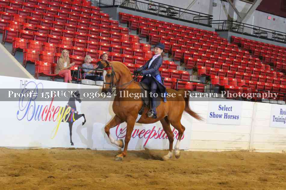 Proof 15BUCK_03692