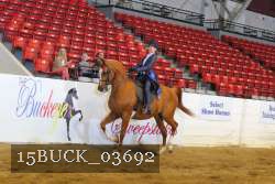 15BUCK_03692 proof