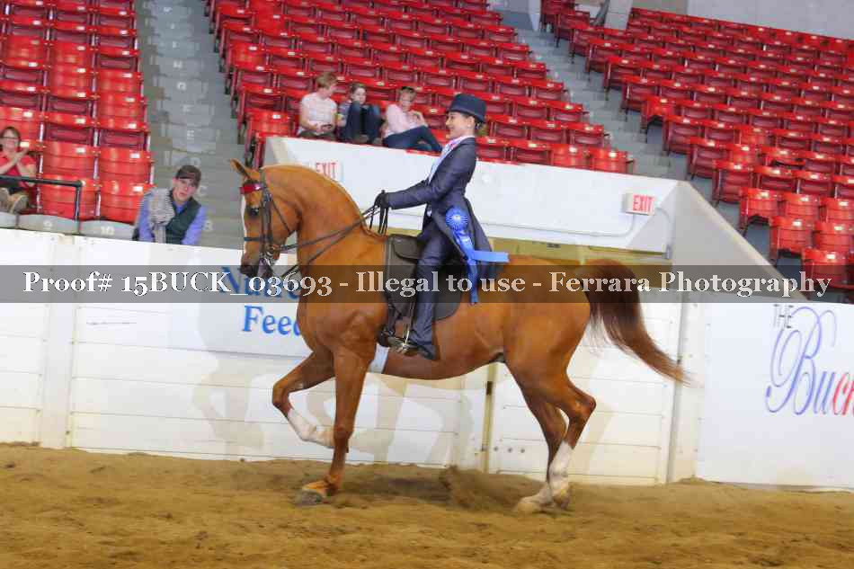 Proof 15BUCK_03693