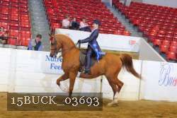 15BUCK_03693 proof