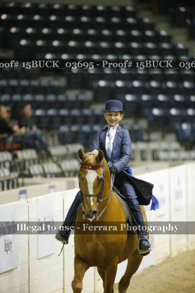 Proof 15BUCK_03695