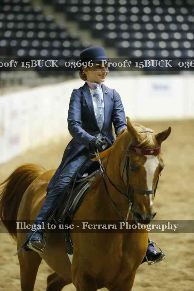 Proof 15BUCK_03696