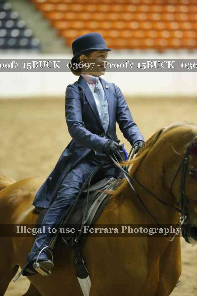 Proof 15BUCK_03697