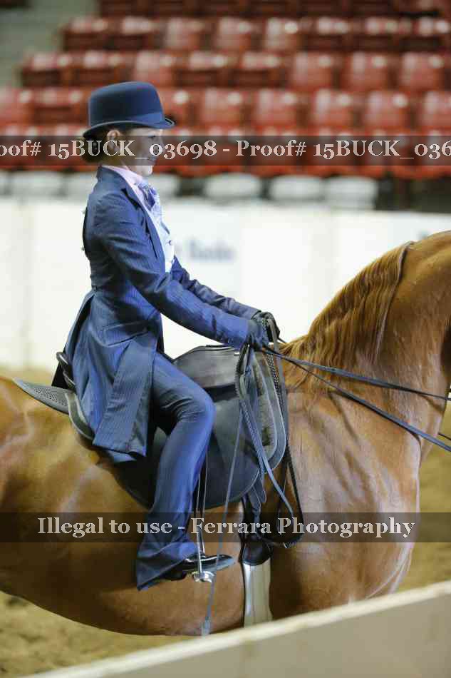 Proof 15BUCK_03698