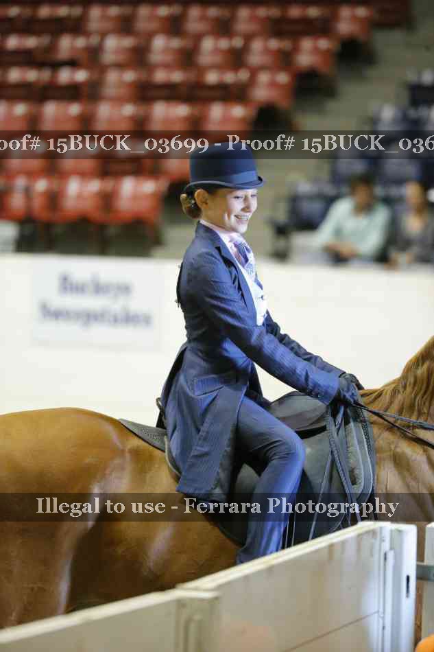 Proof 15BUCK_03699