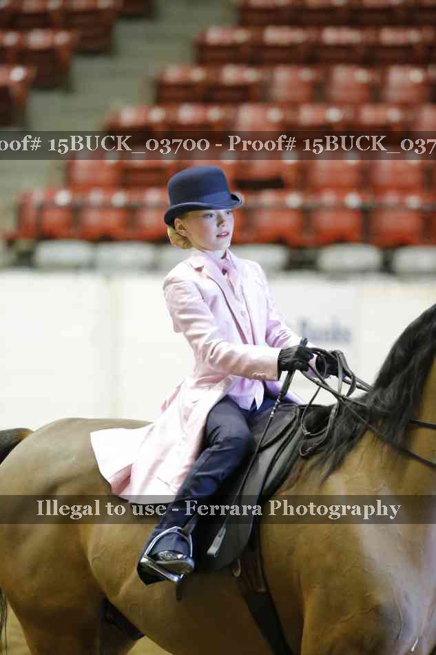 Proof 15BUCK_03700