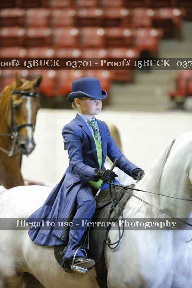 Proof 15BUCK_03701