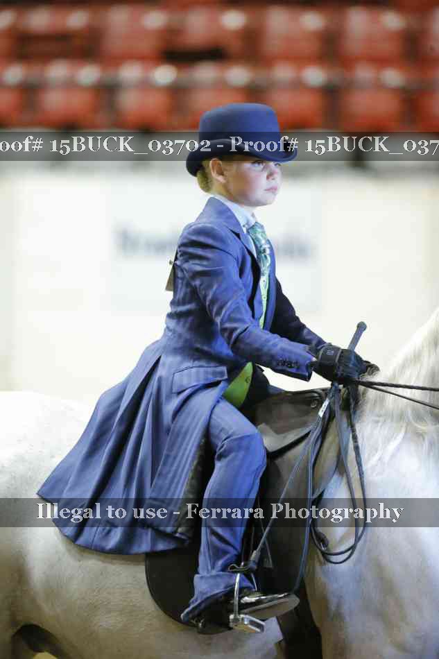 Proof 15BUCK_03702
