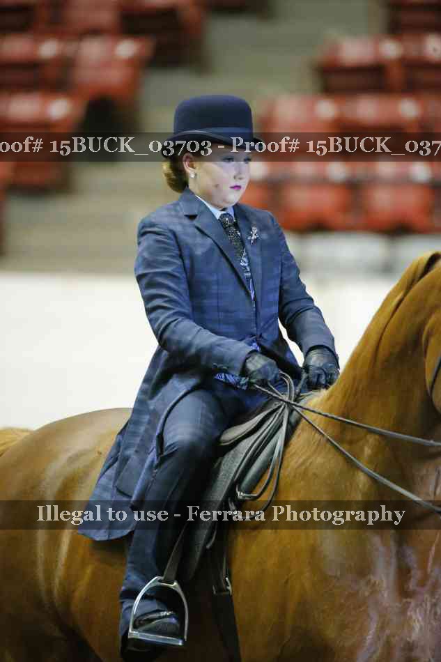 Proof 15BUCK_03703