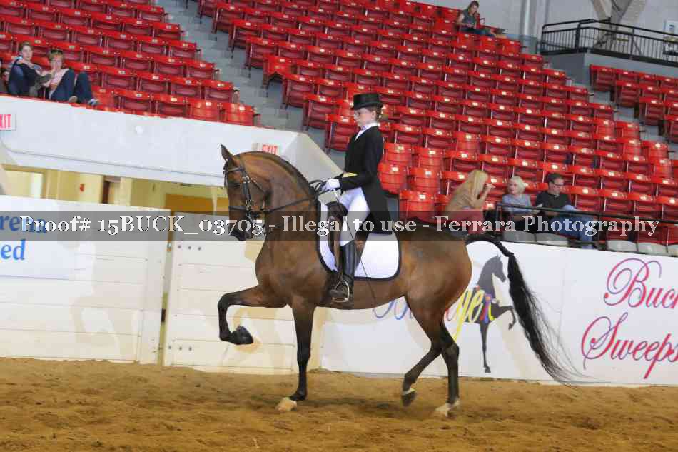 Proof 15BUCK_03705