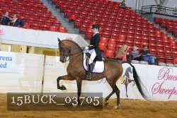 15BUCK_03705 proof